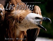 Los Buitres/Vultures (Animales Carroneros/Animal Scavengers) (Spanish Edition)