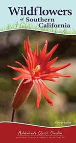 Wildflowers of Southern California (Adventure Quick Guides)