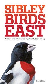 The Sibley Field Guide to Birds of Eastern North America: Revised Edition
