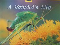 A Katydid's Life