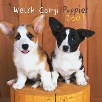 Welsh Corgi Puppies 2007 Mini Calendar