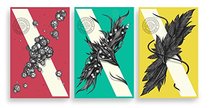 Authority (The Southern Reach Trilogy)