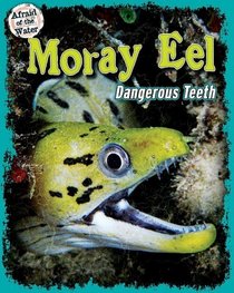 Moray Eel: Dangerous Teeth (Afraid of the Water)