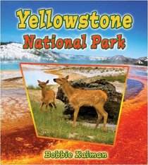 Yellowstone National Park (Introducing Habitats)