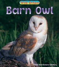Wild Britain: Barn Owl (Wild Britain): Barn Owl (Wild Britain)