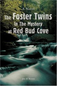 The Foster Twins In The Mystery at Red Bud Cove