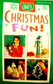 Christmas Fun! (Pocket Crafts)