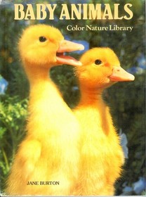 Baby Animals : Color Nature Library