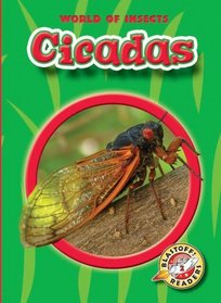 Cicadas (World of Insects: Blastoff! Readers 2)