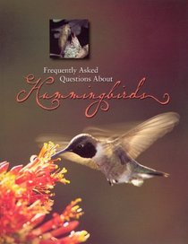 Frequently asked Questions About Hummingbirds