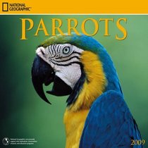 National Geographic Parrots 2009 Calendar