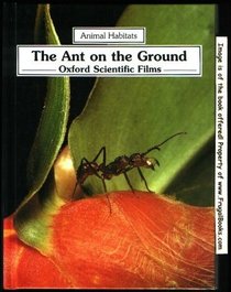 The Ant on the Ground (Animal Habitats)