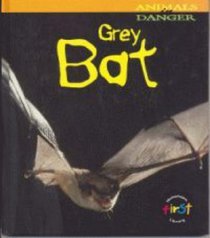 Grey Bat (Animals in Danger)