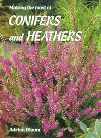 Making the Most of Conifers  Heathers