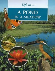 Pond in the Meadow (Life in....)