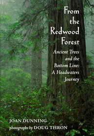 From the Redwood Forest : Ancient Trees and the Bottom Line: A Headwaters Journey