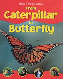 How Things Grow From Caterpillar to Butterfly