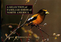 A Selection of Familiar Birds of North America