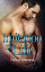 Imitation of Life (Rock Bottom, Bk 2)