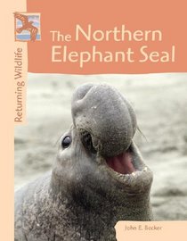 Returning Wildlife - The Northern Elephant Seal (Returning Wildlife)