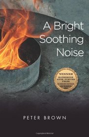 A Bright Soothing Noise (Katherine Anne Porter Prize in Short Fiction)