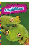 Amphibians (Animal Kingdom)