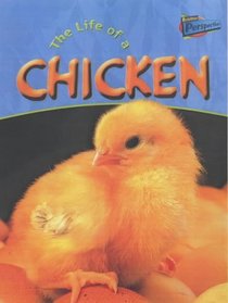 Raintree Perspectives: Life Cycles - the Life of a Chicken (Raintree Perspectives) (Raintree Perspectives)