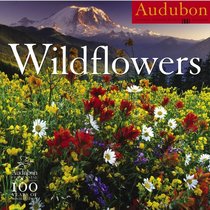 Audubon Wildflowers Calendar 2007