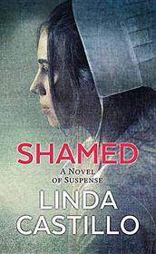 Shamed: A Kate Burkholder Novel (Center Point Large Print: Kate Burkholder)