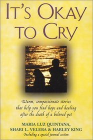 It's Okay To Cry