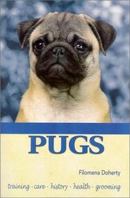 Pugs (KW Dog)