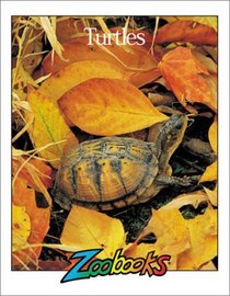 Turtles (Zoobooks)