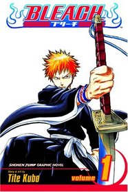 Bleach, Vol 1