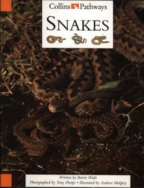 Collins Pathways Big Book: Snakes Stage 5