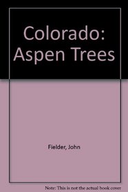Colorado Aspen Trees