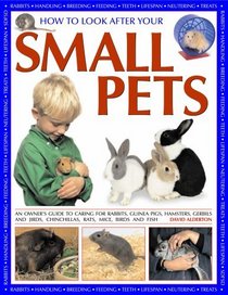 How to Look After Your Small Pets: an owners guide