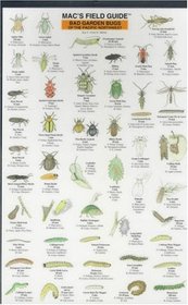 Mac's Field Guide: Bad Garden Bugs of the Pacific Northwest : Good Garden Bugs of the Pacific Northwest (Mac's Field Guides)