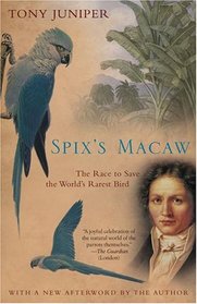 Spix's Macaw : The Race to Save the World's Rarest Bird