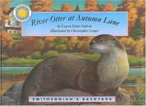 River Otter at Autumn Lane (Smithsonian's  Backyard)