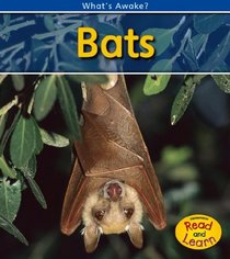 Bats (2nd Edition) (Heinemann Read and Learn)