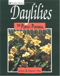 Daylilies : The Perfect Perennial