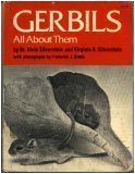 Gerbils, All About Them
