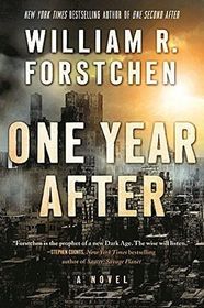 One Year After (John Matherson, Bk 2)