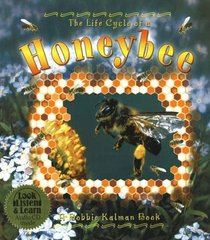 The Life Cycle of a Honeybee (The Life Cycle)