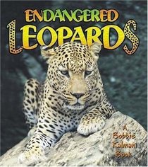 Endangered Leopards (Turtleback School & Library Binding Edition) (Earth's Endangered Animals)