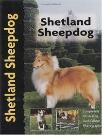 Shetland Sheepdog (Pet love)