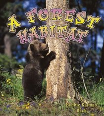 A Forest Habitat (Introducing Habitats)
