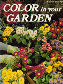 Color in Your Garden