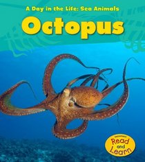 Octopus (A Day in the Life: Sea Animals)