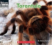 Tarantula (Welcome Books)